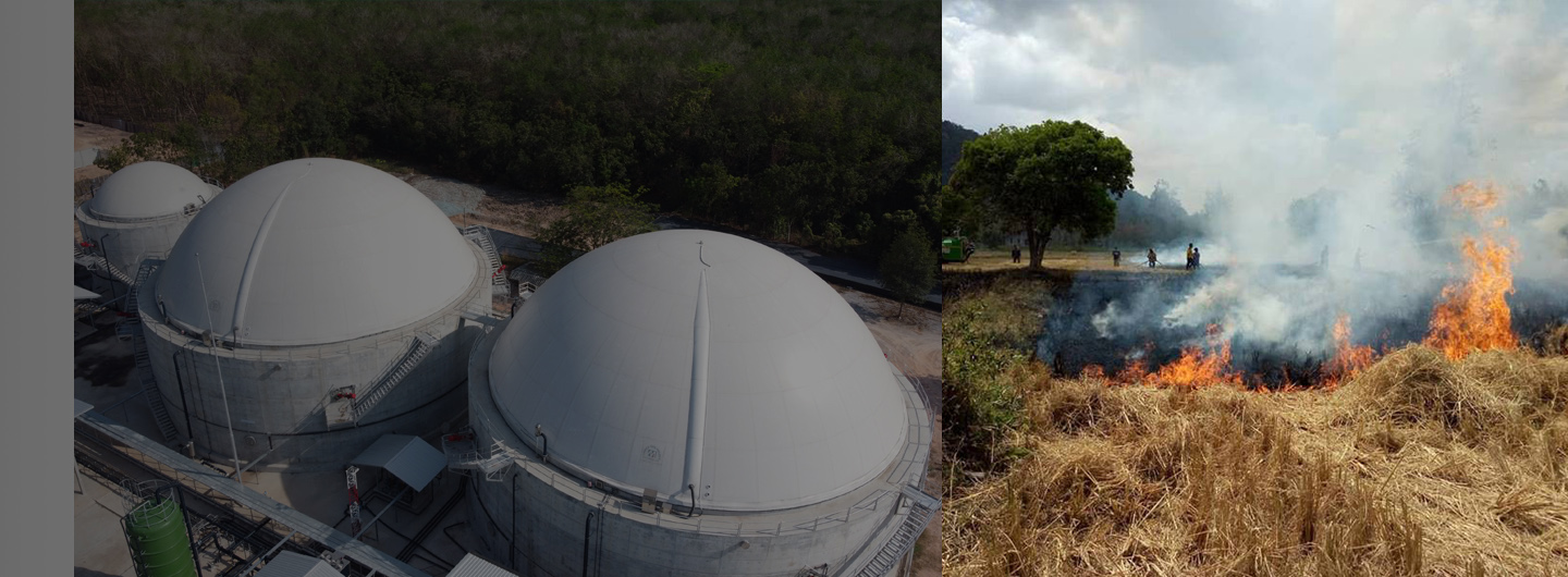 กรีน ดิจิตัล แอสแซท   กรีน ดิจิตัล แอสแซท