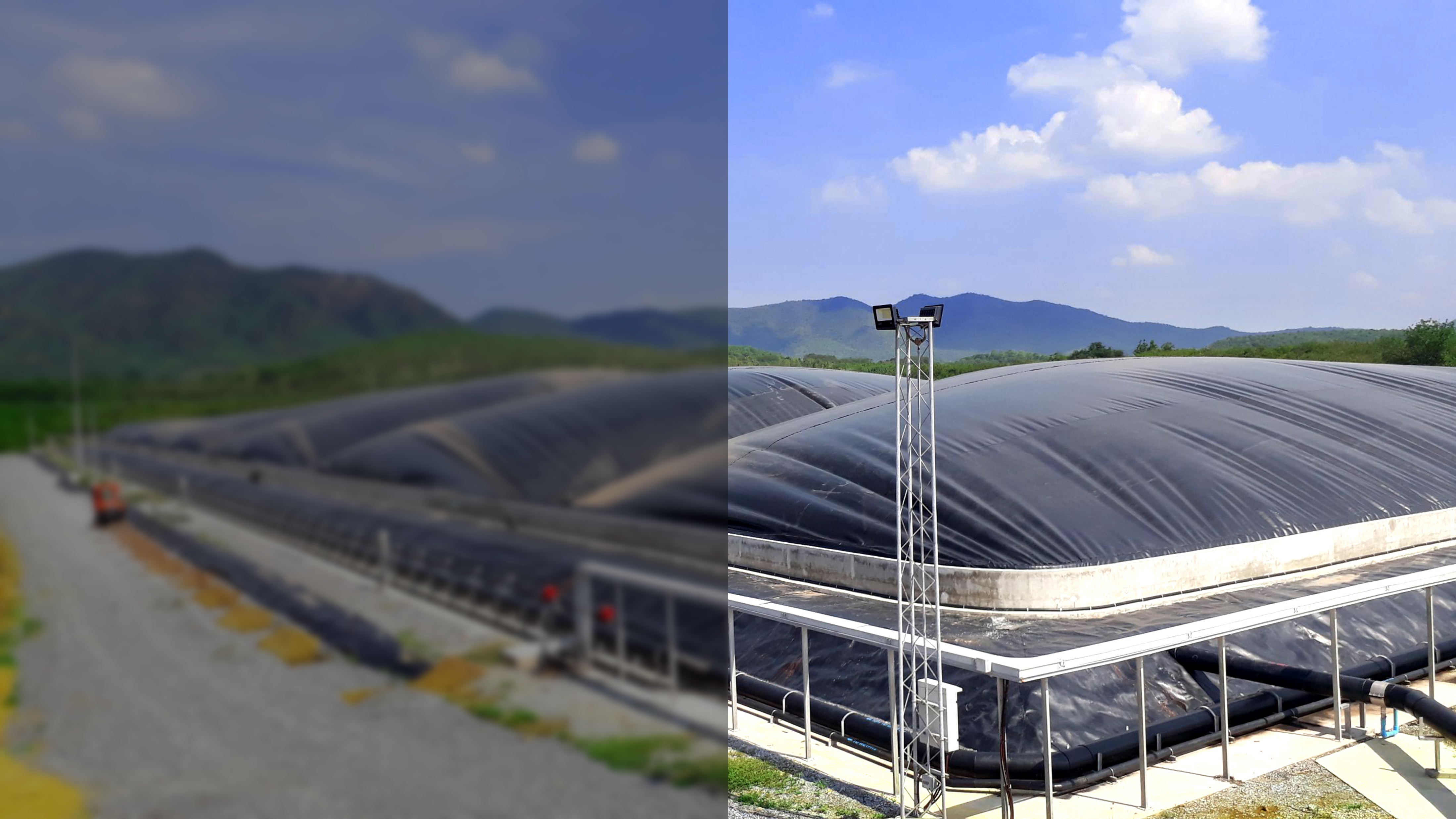 กรีน ดิจิตัล แอสแซท   กรีน ดิจิตัล แอสแซท